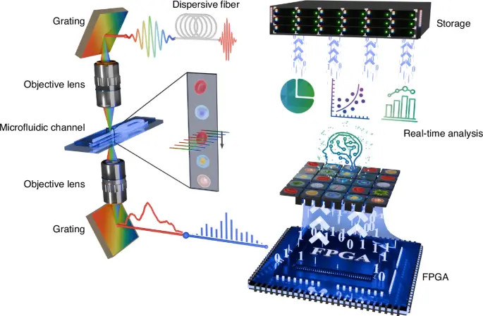 : Schematic of imaging flow cytometry system for high-throughput cellular analysis