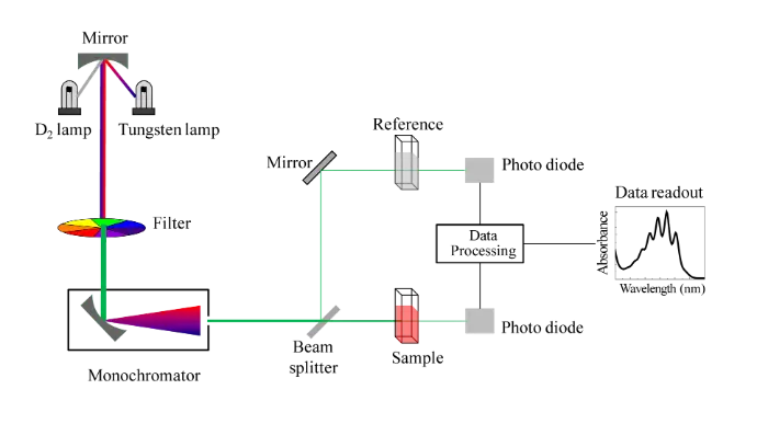 Spectrometry in Biotechnology Schematic of a UV-Vis spectrophotometer, depicting light source, monochromator, sample cuvette, and detector for absorbance measurements.