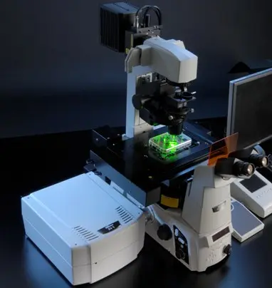 Laser Scanning Confocal Microscopy (LSCM):