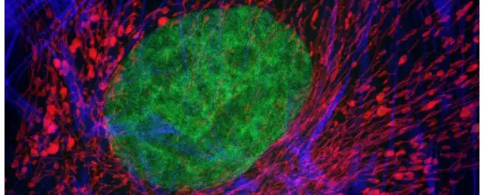 Spectral (wavelength, lambda) scanning