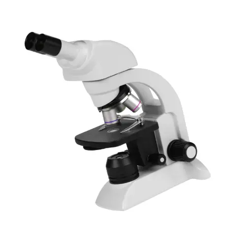 Upright Trinocular Microscope