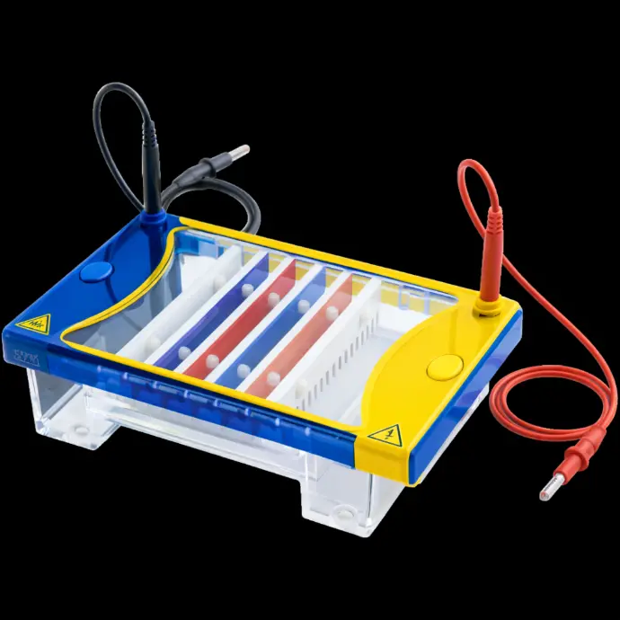 Wide Mini Horizontal Electrophoresis System